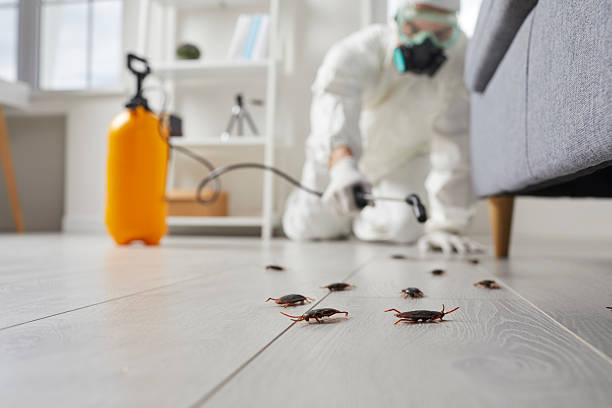 Commercial Kitchen Cockroach Control in Heritage Hills